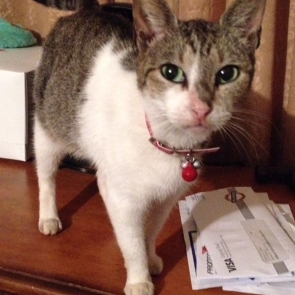 Meet your Posher, Monica - Picture 1 of 1